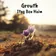 A single purple pasque flower backlit by golden sunset light in a field, the cover art for Growth