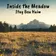 A golden meadow with wildflowers and evergreen trees beneath distant snow-capped mountains, the cover art for Inside the Meadow