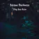 A young plant illuminated in cool blue tones against a blurred dark background, the cover art for Serene Darkness