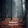 A misty forest path through bare trees covered in fallen autumn leaves, the cover art for Unknown
